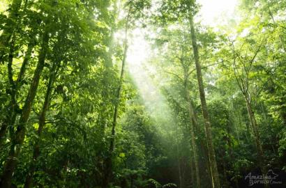 Imperative of integrated land use planning in Sabah